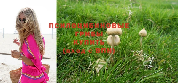 шишки Михайловка