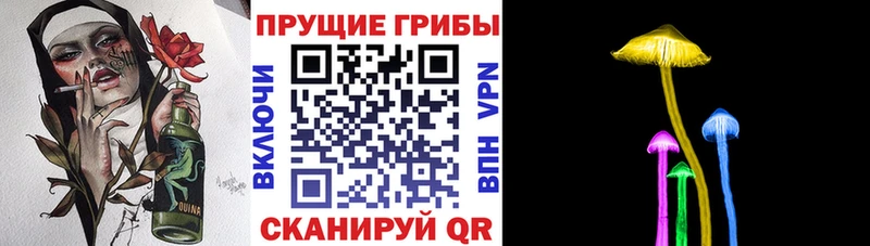 Псилоцибиновые грибы прущие грибы  наркошоп  Севастополь 